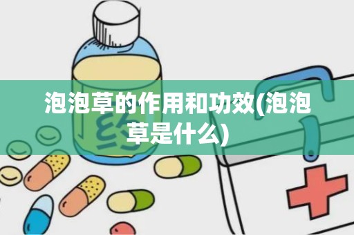 泡泡草的作用和功效(泡泡草是什么)