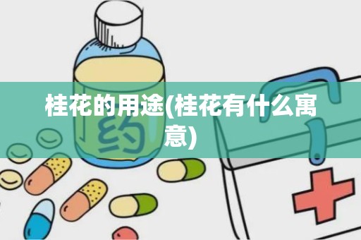 桂花的用途(桂花有什么寓意)