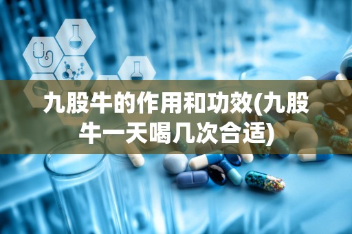 九股牛的作用和功效(九股牛一天喝几次合适)