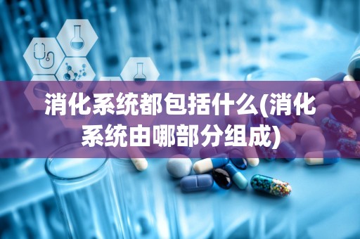 消化系统都包括什么(消化系统由哪部分组成)