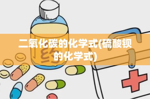 二氧化碳的化学式(硫酸钡的化学式)