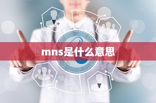 mns是什么意思