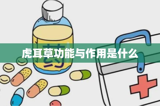 虎耳草功能与作用是什么