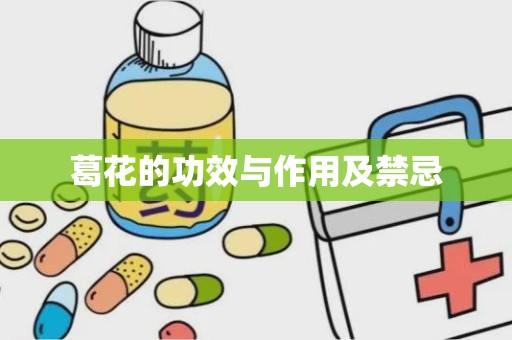 葛花的功效与作用及禁忌