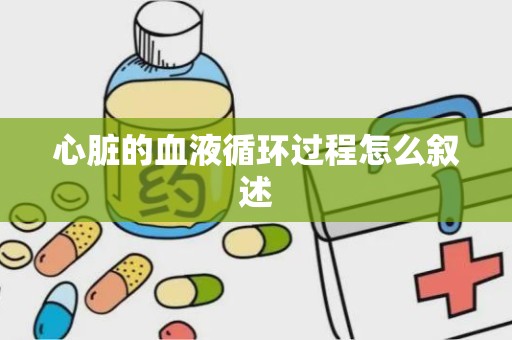 心脏的血液循环过程怎么叙述