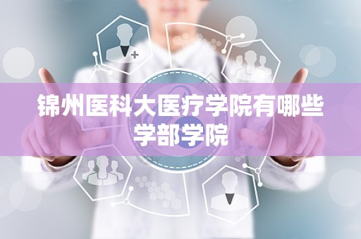 锦州医科大医疗学院有哪些学部学院