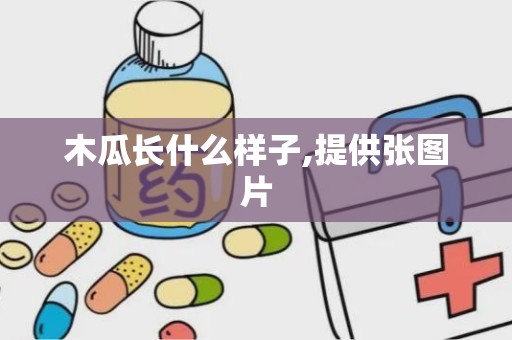 木瓜长什么样子,提供张图片