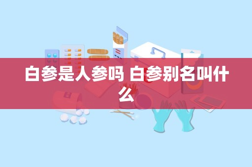 白参是人参吗 白参别名叫什么