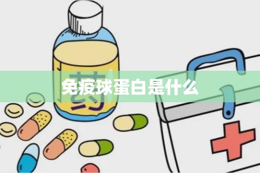 免疫球蛋白是什么