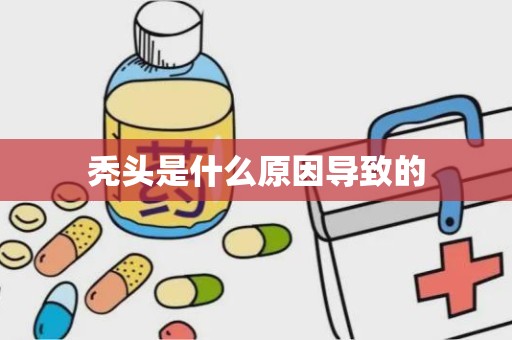 秃头是什么原因导致的