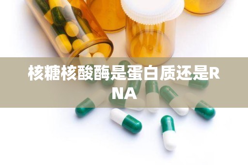 核糖核酸酶是蛋白质还是RNA