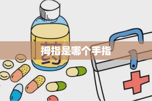 拇指是哪个手指