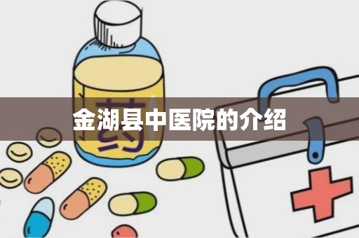 金湖县中医院的介绍