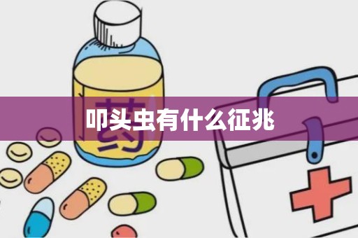 叩头虫有什么征兆