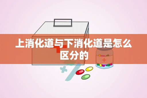 上消化道与下消化道是怎么区分的