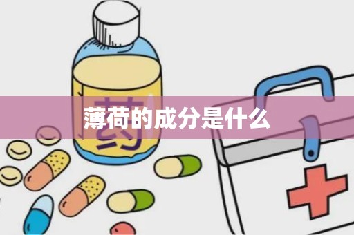 薄荷的成分是什么