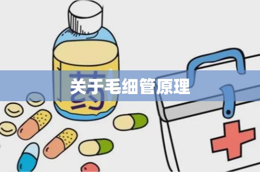 关于毛细管原理