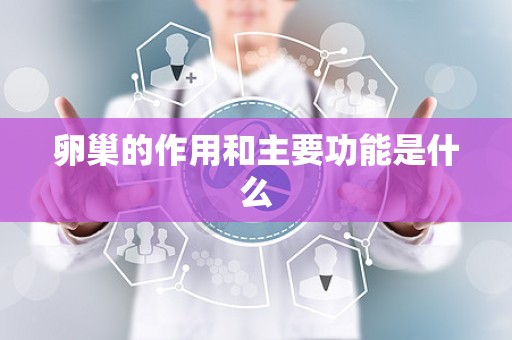 卵巢的作用和主要功能是什么