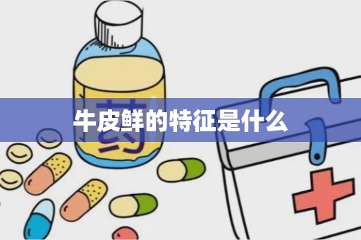 牛皮鲜的特征是什么