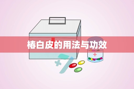 椿白皮的用法与功效