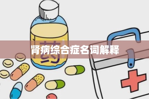 肾病综合症名词解释