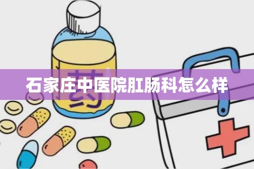 石家庄中医院肛肠科怎么样