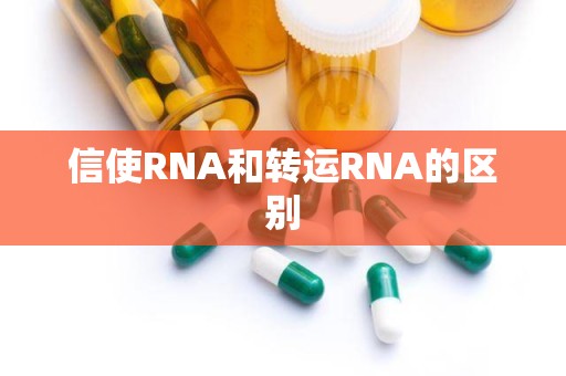 信使RNA和转运RNA的区别