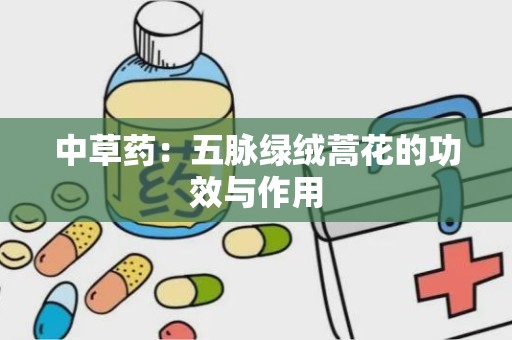 中草药：五脉绿绒蒿花的功效与作用