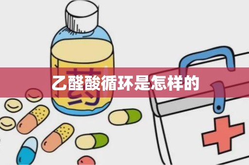 乙醛酸循环是怎样的