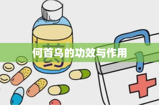 何首乌的功效与作用