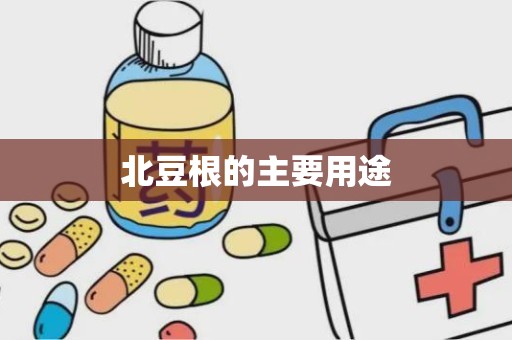 北豆根的主要用途