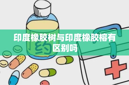 印度橡胶树与印度橡胶榕有区别吗