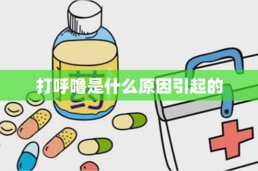 打呼噜是什么原因引起的