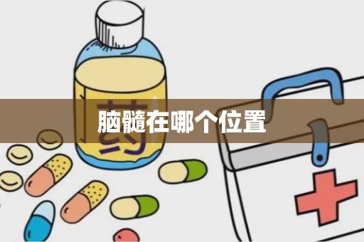 脑髓在哪个位置