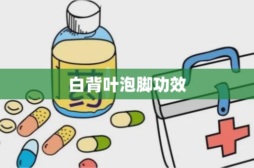 白背叶泡脚功效