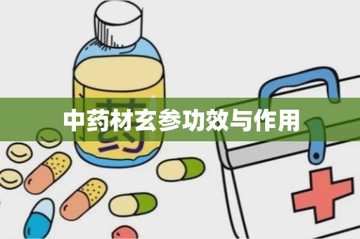 中药材玄参功效与作用