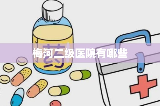 梅河二级医院有哪些