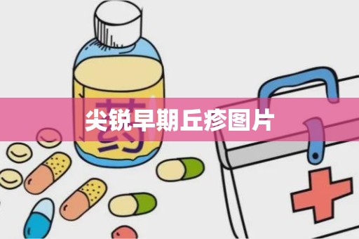 尖锐早期丘疹图片