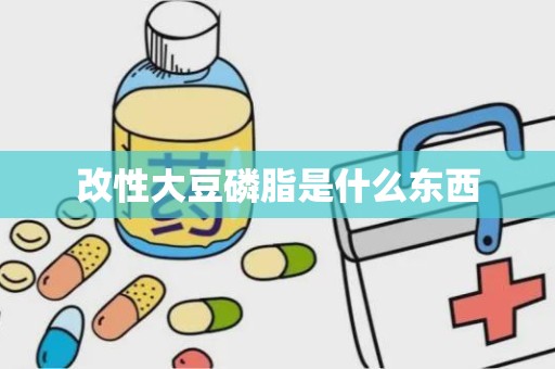 改性大豆磷脂是什么东西