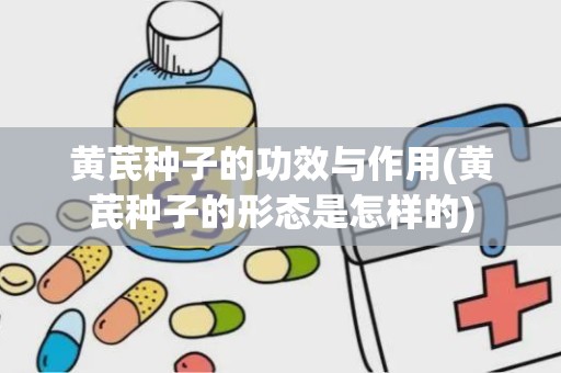 黄芪种子的功效与作用(黄芪种子的形态是怎样的)