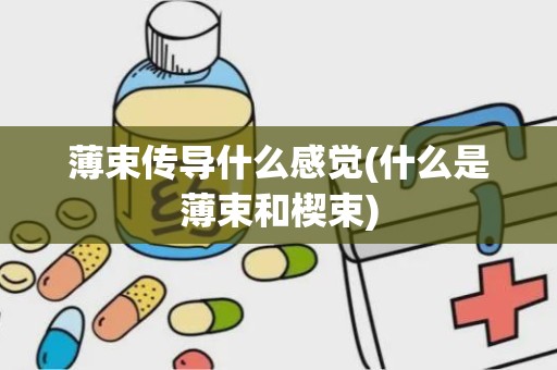 薄束传导什么感觉(什么是薄束和楔束)