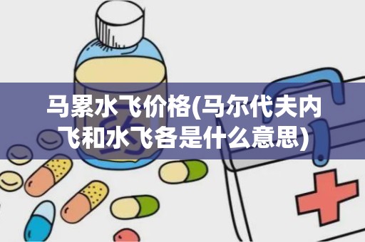 马累水飞价格(马尔代夫内飞和水飞各是什么意思)