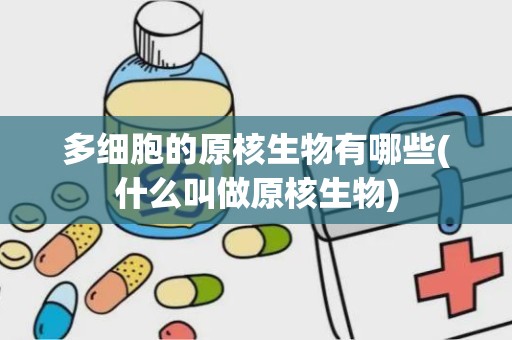 多细胞的原核生物有哪些(什么叫做原核生物)