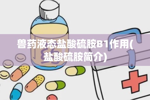 兽药液态盐酸硫胺B1作用(盐酸硫胺简介)