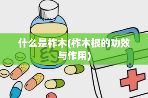 什么是柞木(柞木根的功效与作用)