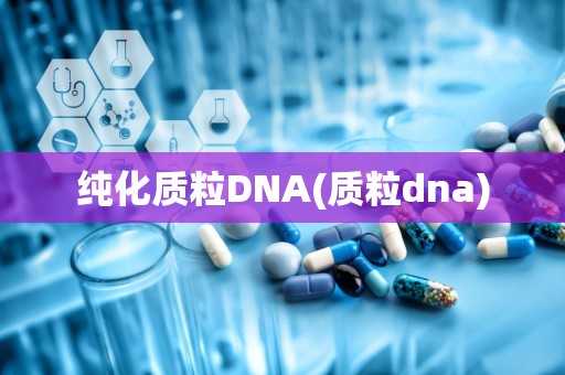 纯化质粒DNA(质粒dna)