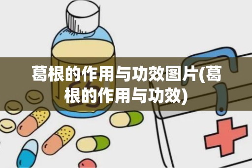 葛根的作用与功效图片(葛根的作用与功效)