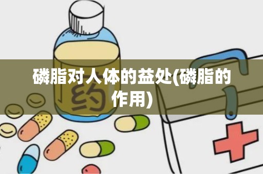 磷脂对人体的益处(磷脂的作用)