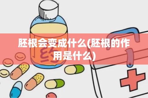 胚根会变成什么(胚根的作用是什么)