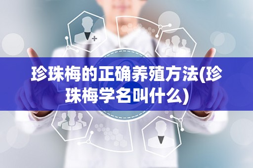 珍珠梅的正确养殖方法(珍珠梅学名叫什么)